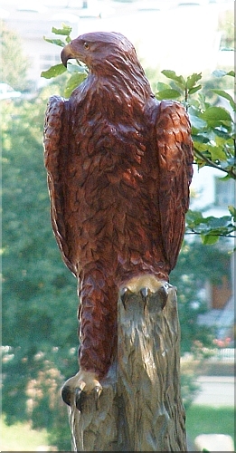 Eagle