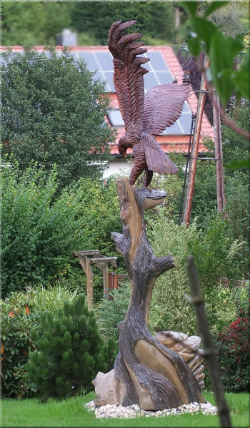  eagle steinadler  motorsgenkunst kettensge schnitzen jochen adam holzwerker