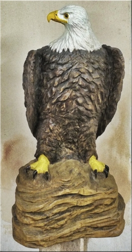 weikopfseeadler bald eagle adler   motorsgenkunst kettensge schnitzen jochen adam holzwerker