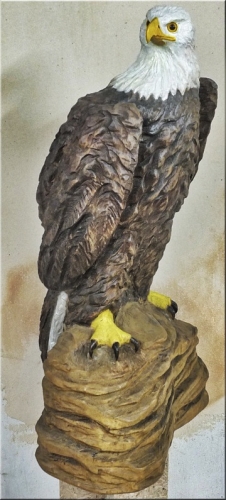 weikopfseeadler bald eagle adler   motorsgenkunst kettensge schnitzen jochen adam holzwerker