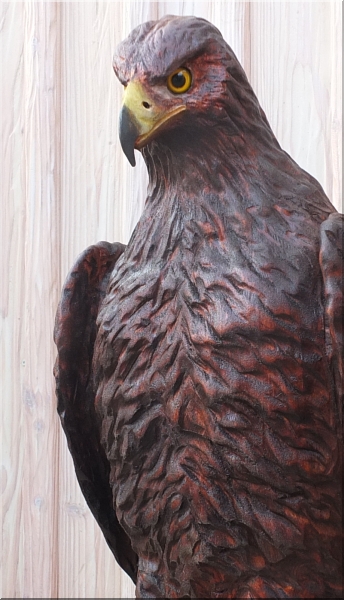 steinadler adler eagle  motorsäge kettensäge schnitzen jochen adam holzwerker