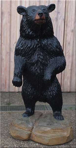 schwarzbär black bear