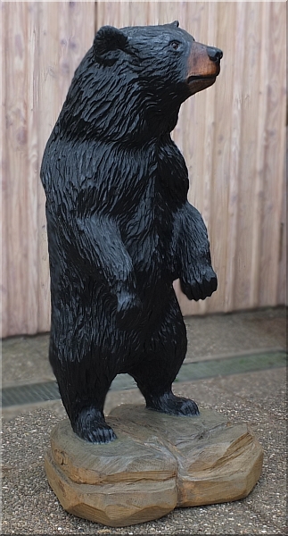 schwarzbär black bear