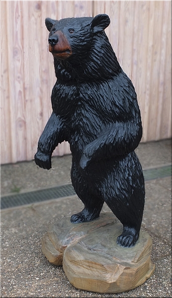 schwarzbär black bear