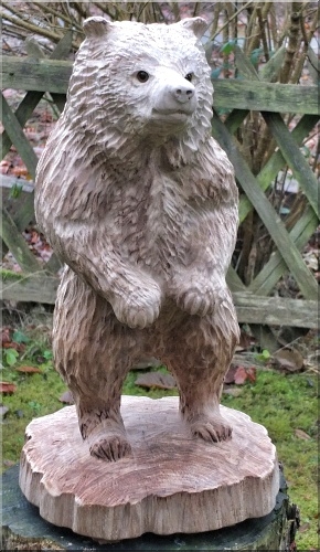 baer bear