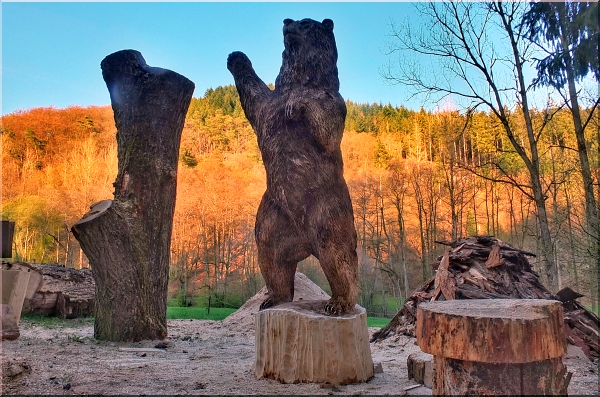 br grizzly motorsgenkunst kettensgenkunst schnitzen holzwerker jochen adam holz