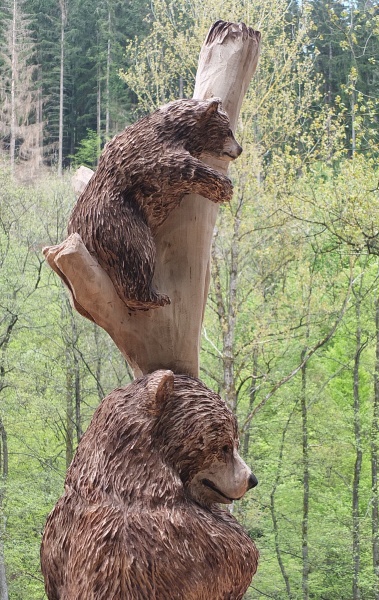 br grizzly motorsgenkunst kettensgenkunst schnitzen holzwerker jochen adam holz