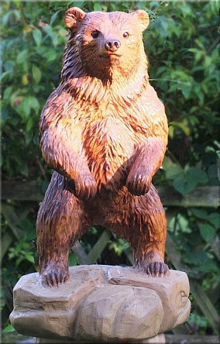 bär bear