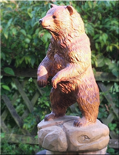 bär bear