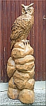 eule auf fels