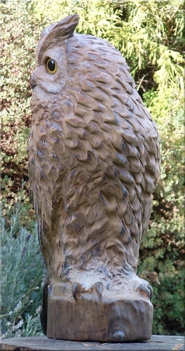 owl