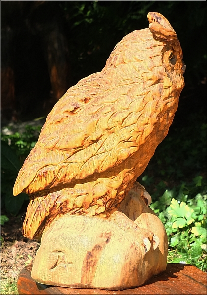  eule holz motorsge kettensge schnitzen kettesgenkunst motorsgenkunst 