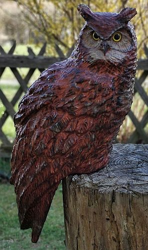 eule holz motorsge kettensge schnitzen kettesgenkunst motorsgenkunst holzwerker