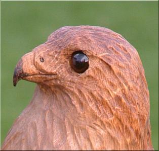 falke falcon holz motorsge kettensge schnitzen kettesgenkunst motorsgenkunst holzwerker