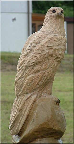 falke falcon holz motorsge kettensge schnitzen kettesgenkunst motorsgenkunst holzwerker