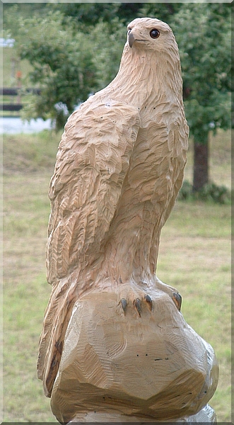 falke falcon holz motorsge kettensge schnitzen kettesgenkunst motorsgenkunst holzwerker