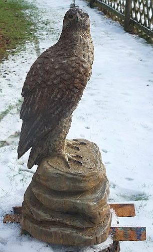 falke falcon holz motorsge kettensge schnitzen kettesgenkunst motorsgenkunst holzwerker