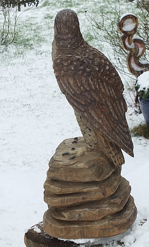 falke falcon holz motorsge kettensge schnitzen kettesgenkunst motorsgenkunst holzwerker