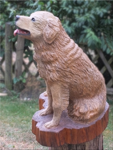 hund golden retriever motorsge kettensgenkunst holz schnitzen jochen adam holzwerker geschnitzt  chainsaw carving