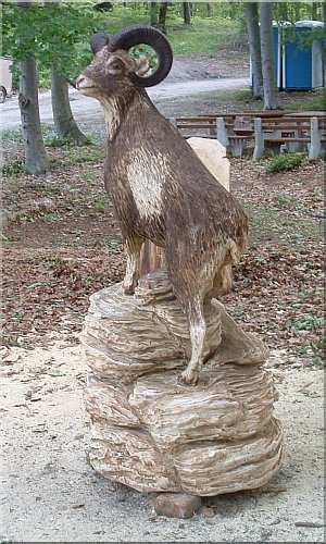 mufflon holz motorsge schnitzen kettensge jochen adam holzwerker