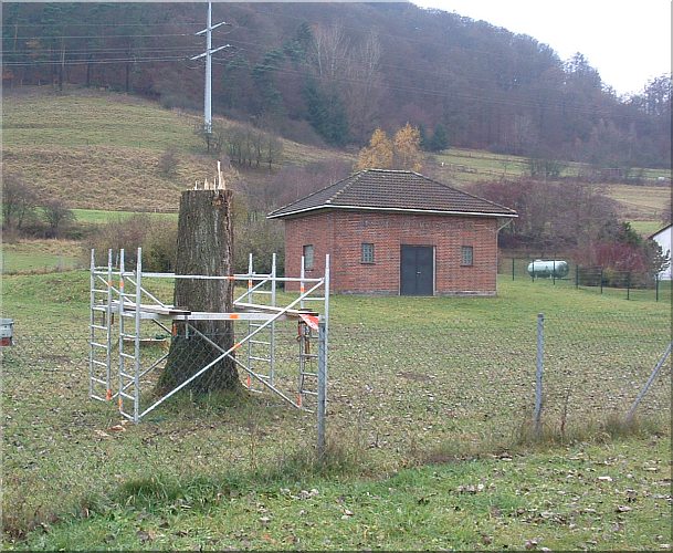 reiher heron holz schnitzen motorsäge kettensäge holzwerker