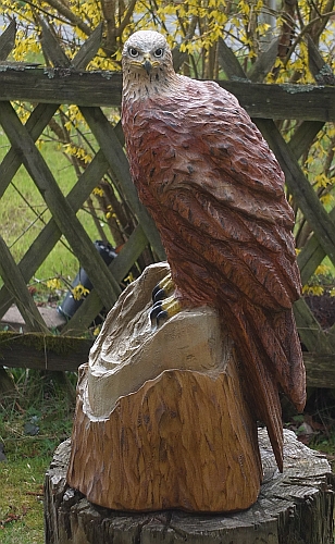 rotmilan gabelweihe holzwerker jochen adam motorsge kettensge schnitzen holz figur skulptur