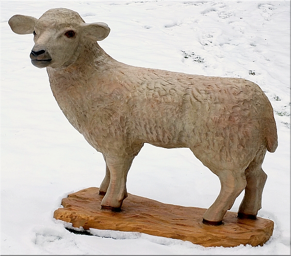 schaf sheep