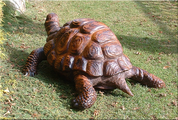 schildkrte  motorsge