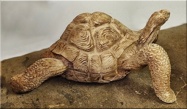 riesenschildkrte