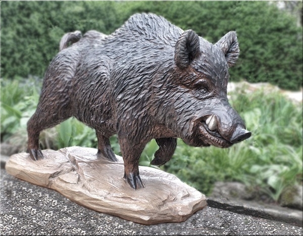 keiler wild boar wildschwein