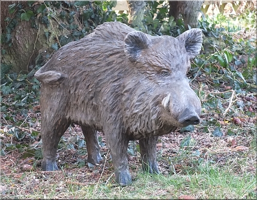  holzwerker wildschwein wild boar motorsge kettensge motorsgenkunst kettensgenkunst