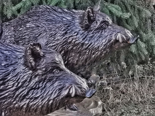 wildschwein keiler  wild boar  holz schnitzen motorsge kettensge holzwerker jochen Adam