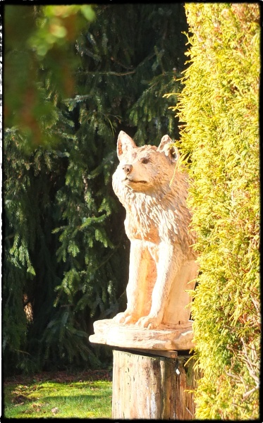 wolf holz geschnitzt motorsge kettensge kunst holzwerker