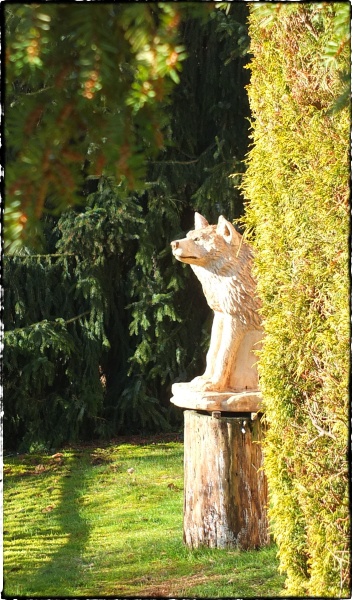 wolf holz geschnitzt motorsge kettensge kunst holzwerker