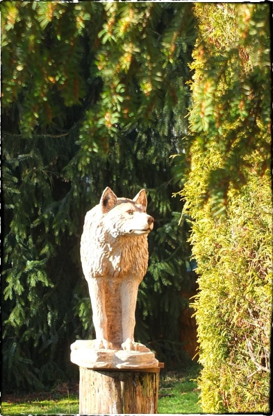 wolf holz geschnitzt motorsge kettensge kunst holzwerker