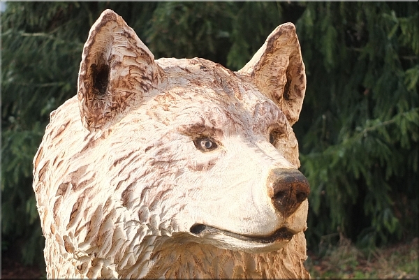 wolf holz geschnitzt motorsge kettensge kunst holzwerker