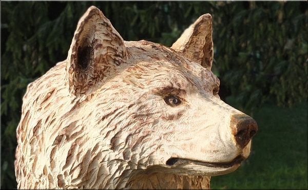 wolf holz geschnitzt motorsge kettensge kunst holzwerker